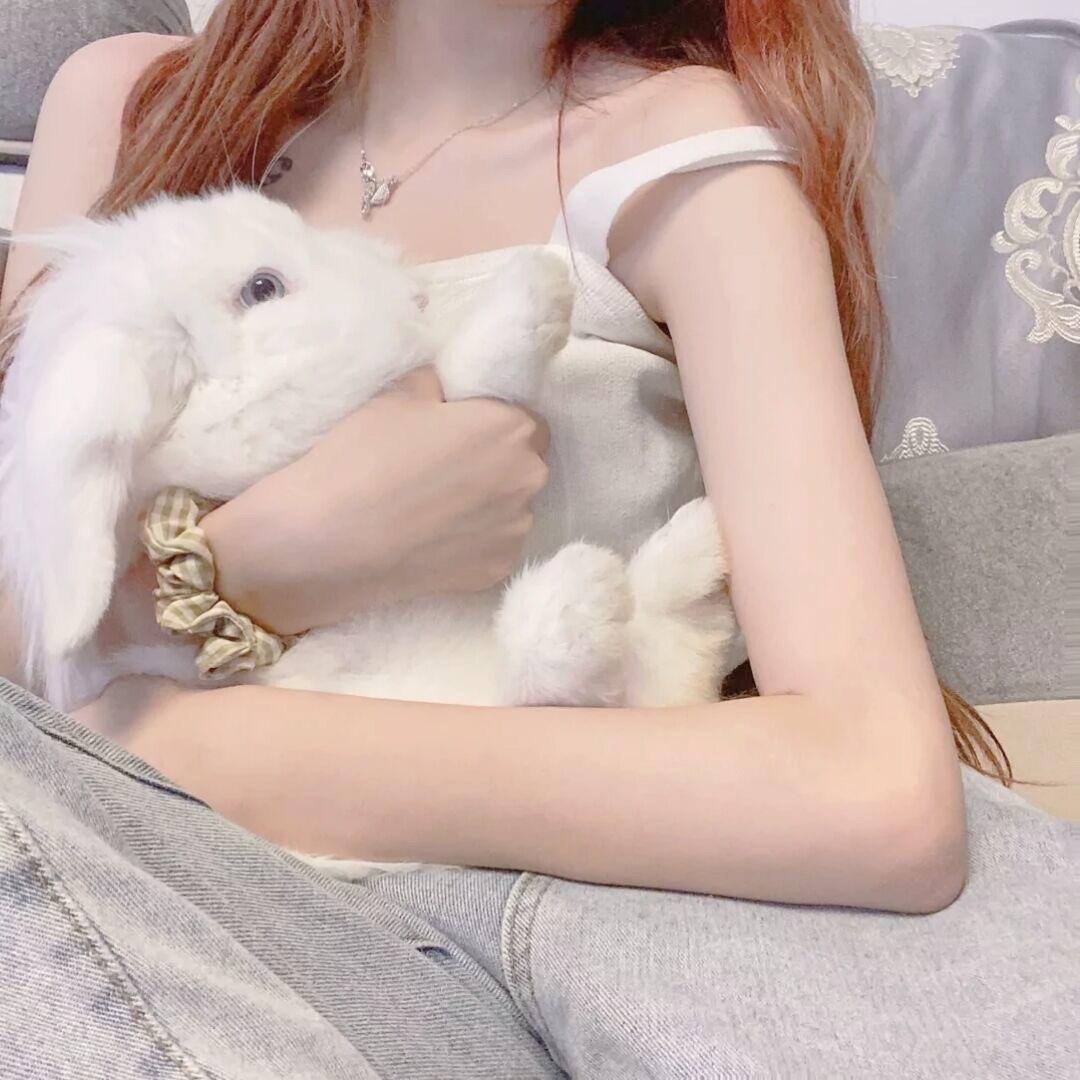 叮叮当。