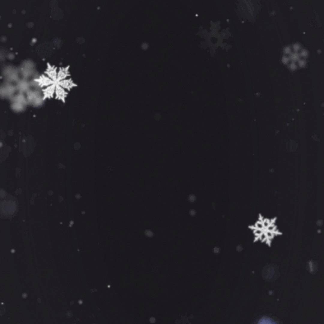 🌈潮流（精品女装）