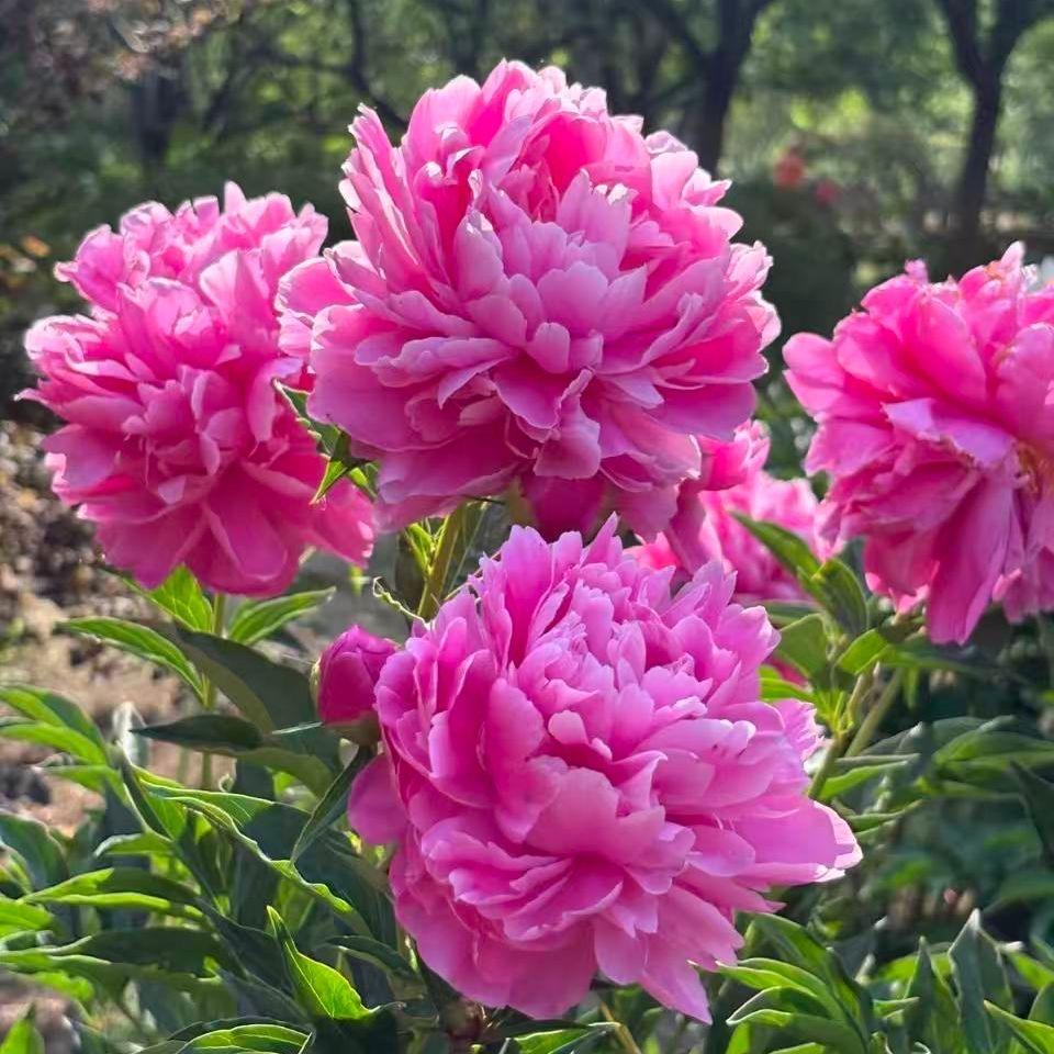 昇达商贸日用精品店