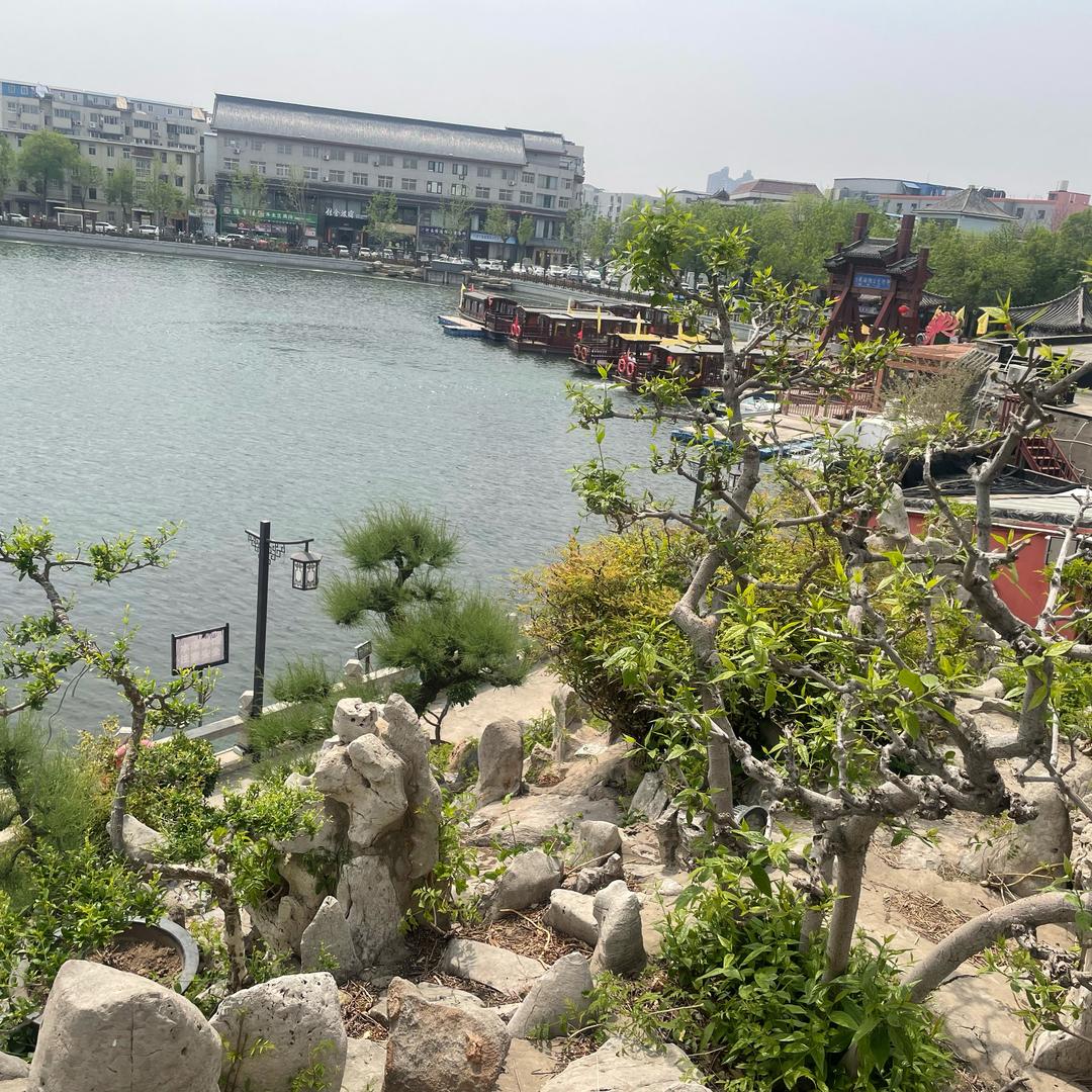 丽