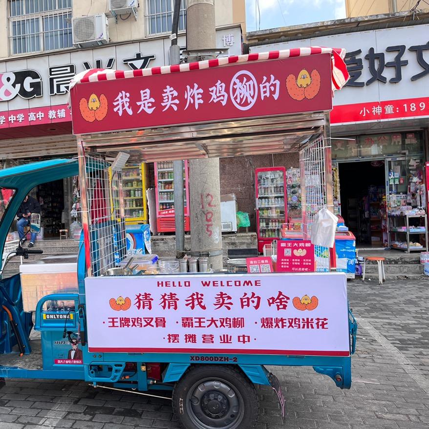 我是卖炸鸡柳的之—温塘