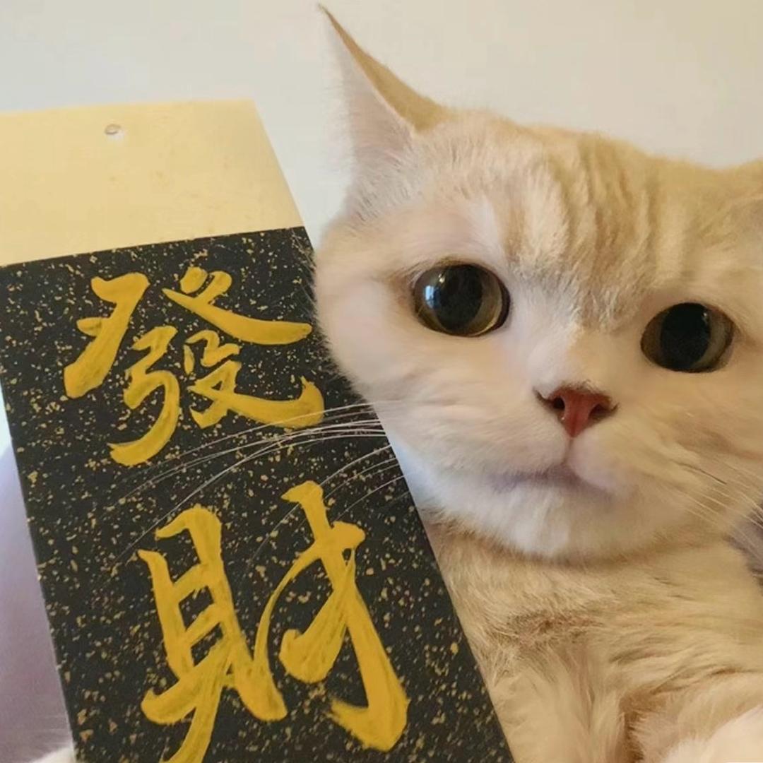 W。