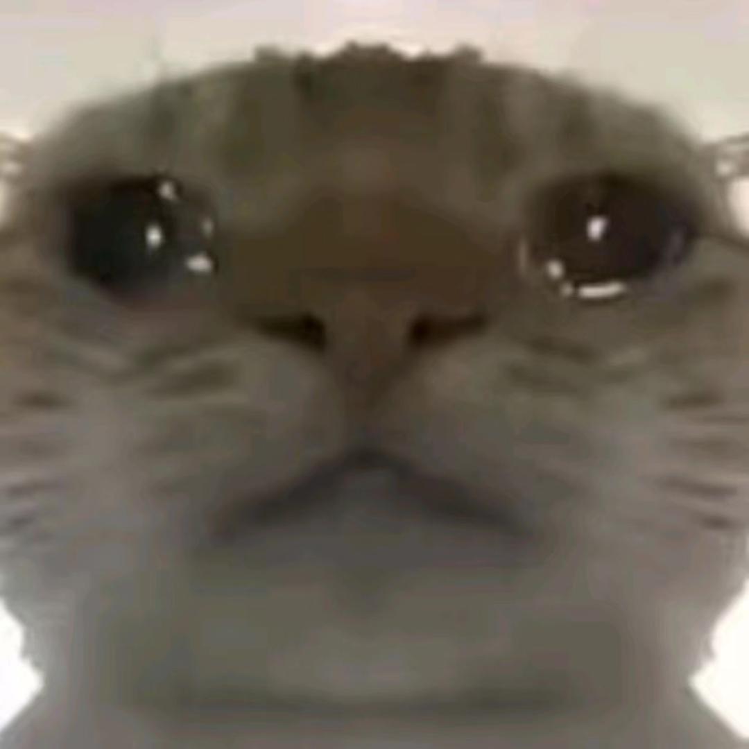 暗区突围小隼（开金界的高高手）