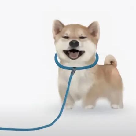 薄雾