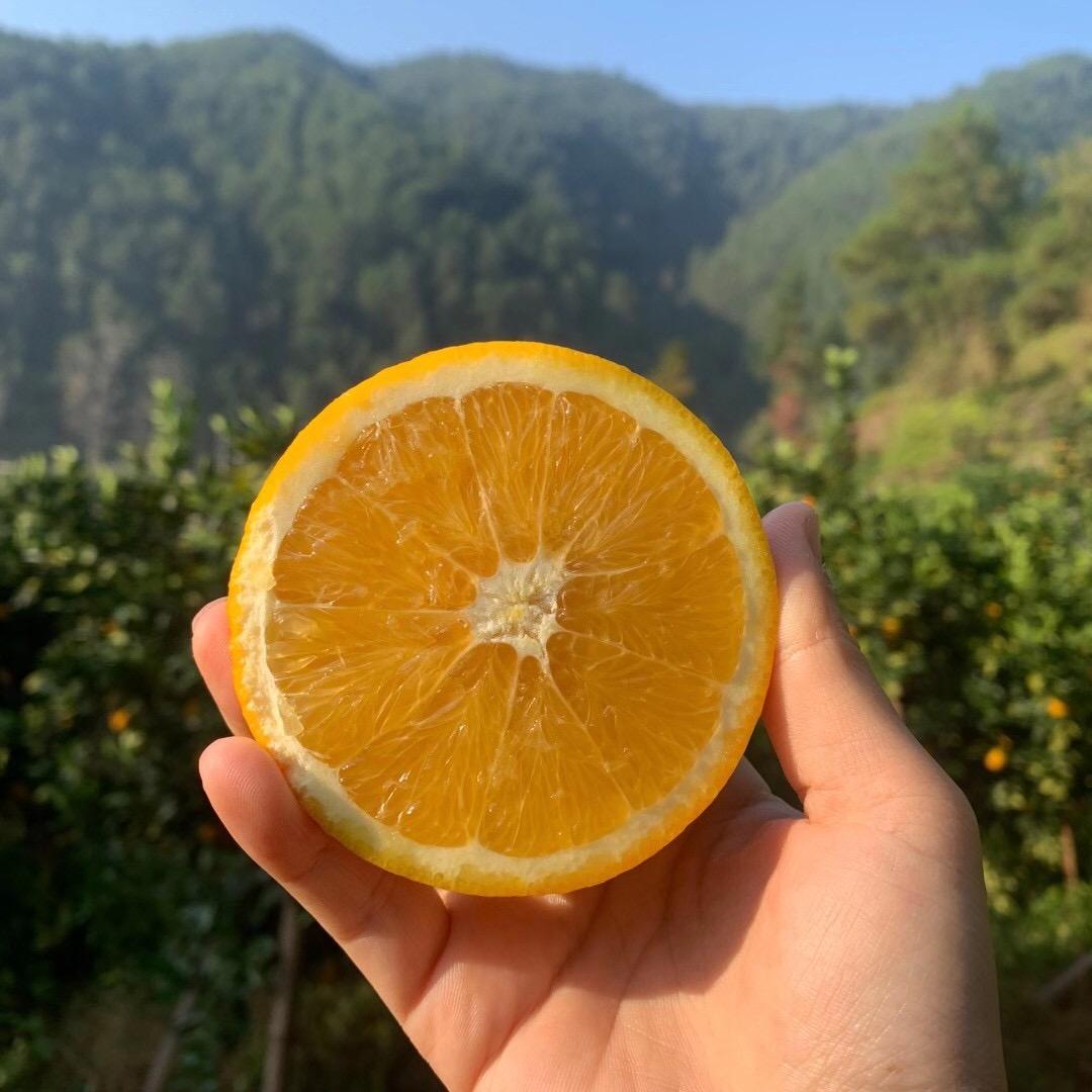 红土农家赣南脐橙产地直发
