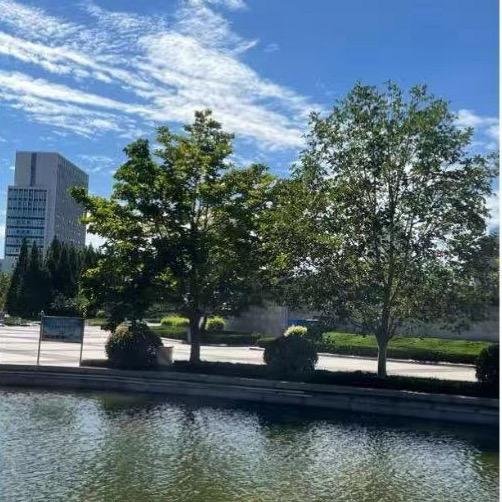 隔壁❤️老王