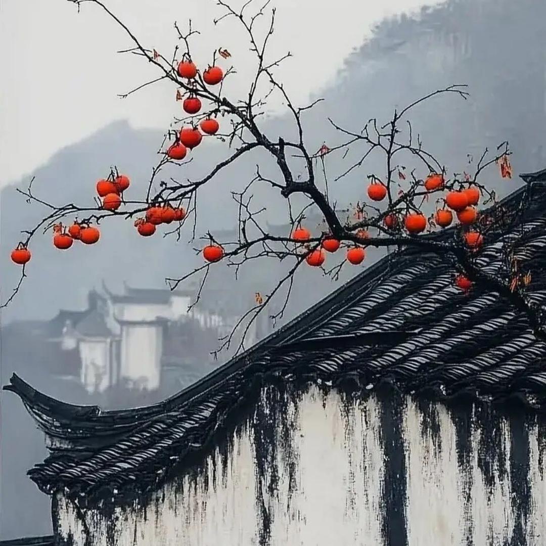 峰哥