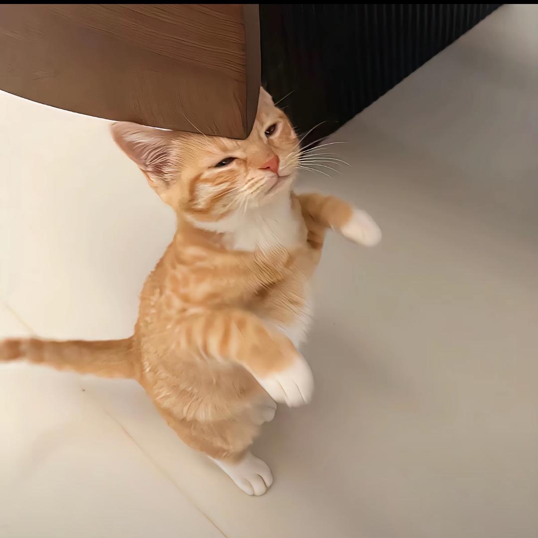 抖音注销了别烦我