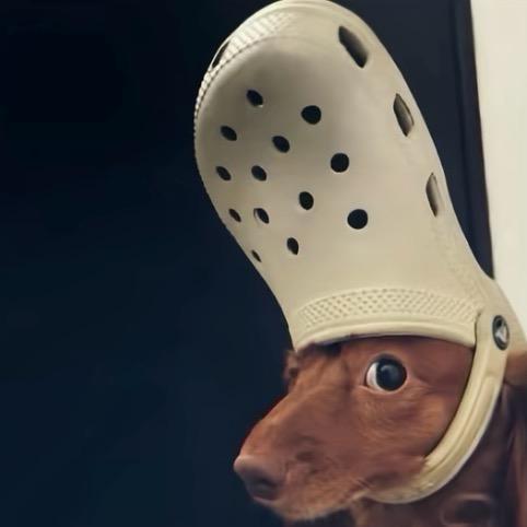 妃_