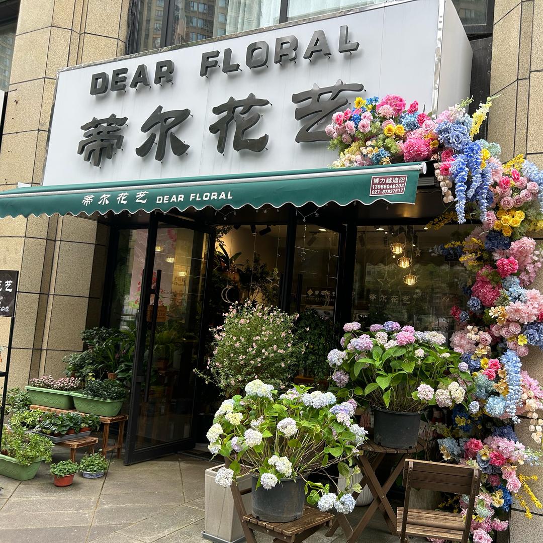 橙子麻麻呀