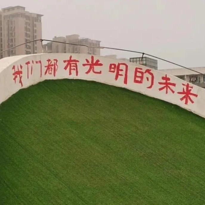 真泪目啊大清亡了