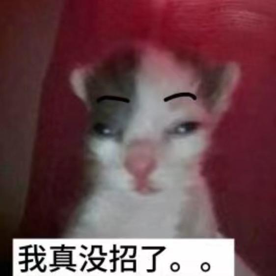 Ss