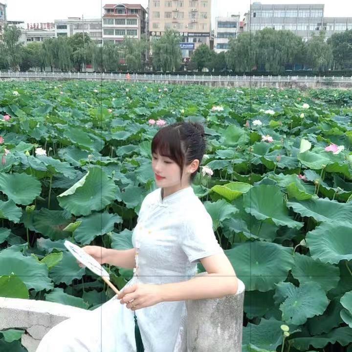 小柒姑娘