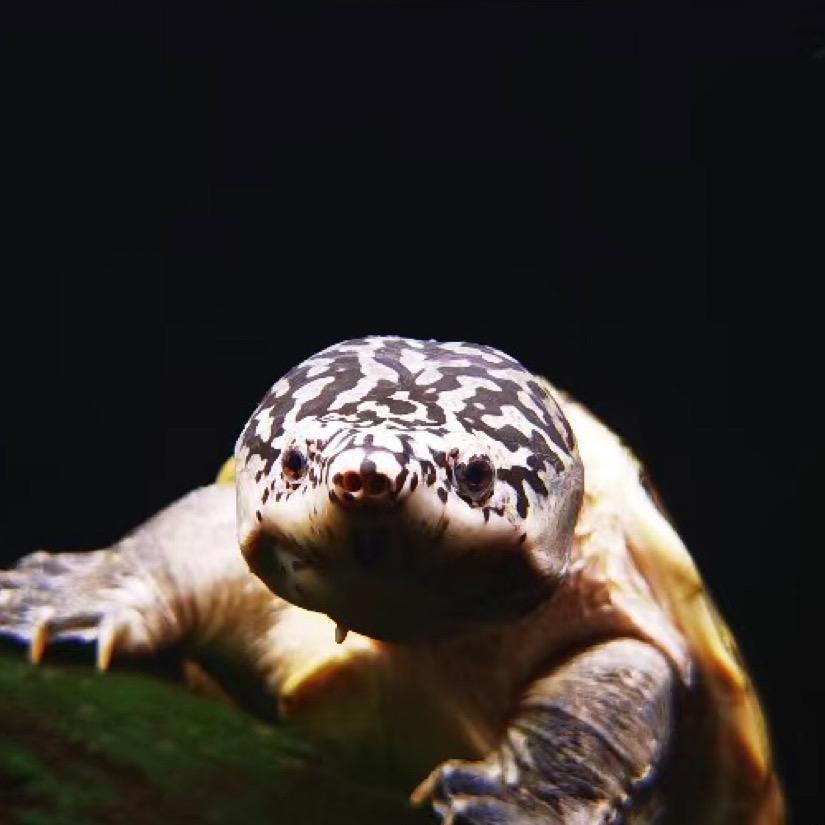 悠哉のm🐢
