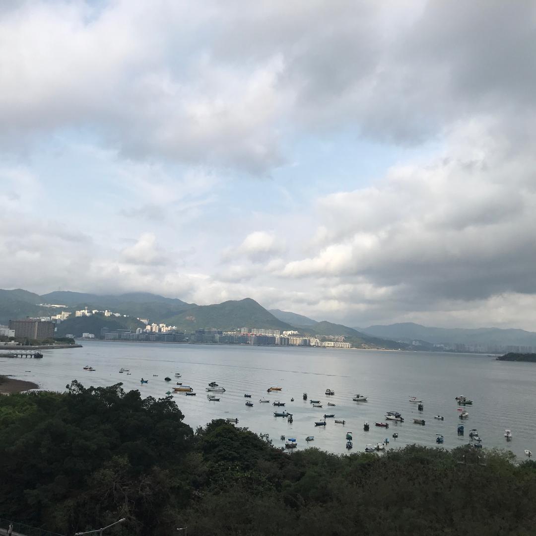 惠惠