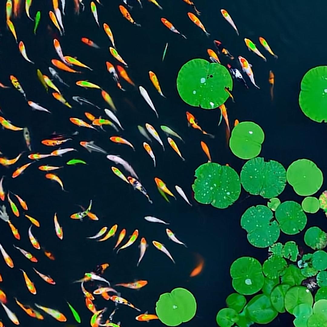 yu见更好的自己