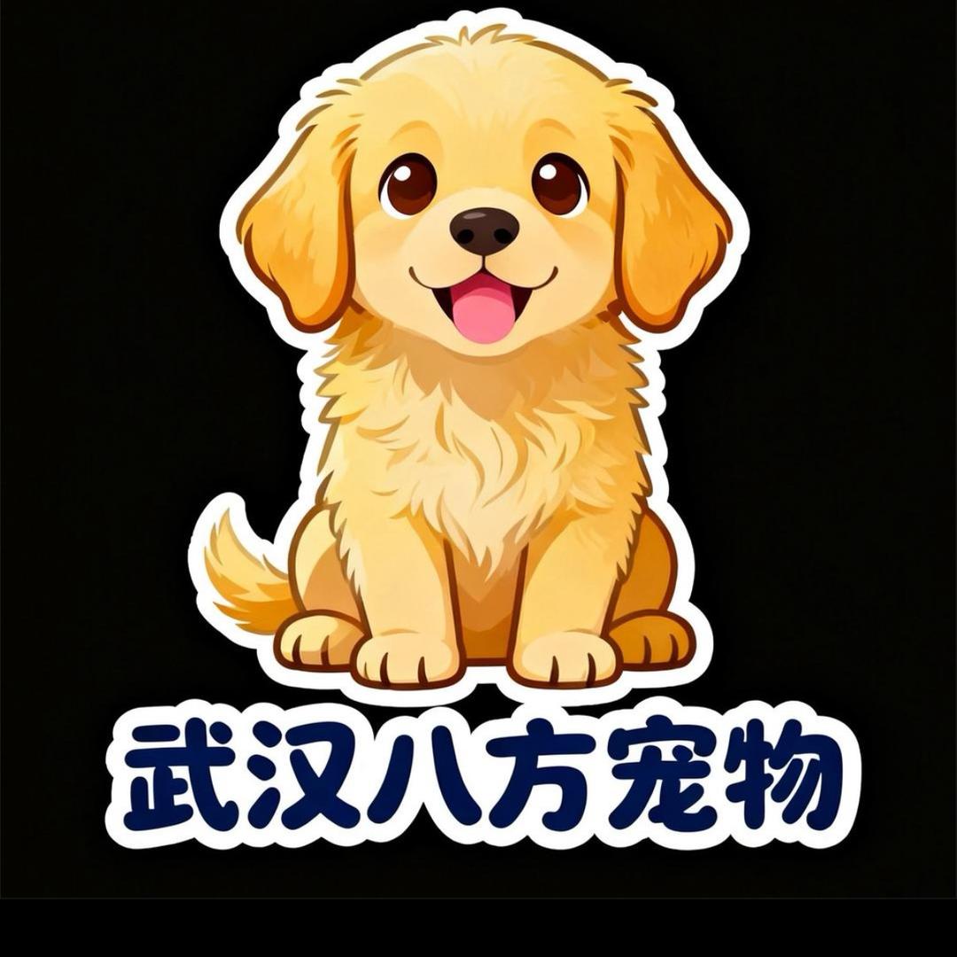 武汉八方宠物