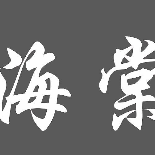 海棠湾足道SPA影院