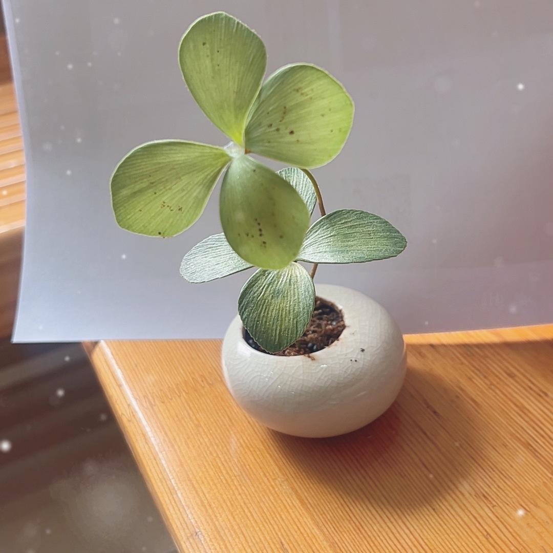 凤喜好物