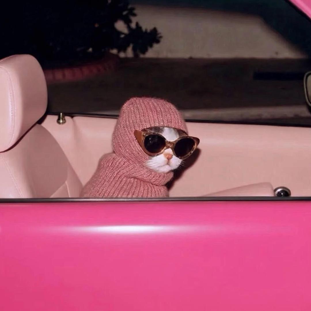 📷 超高兴的没烦恼💕Ran ·͜·