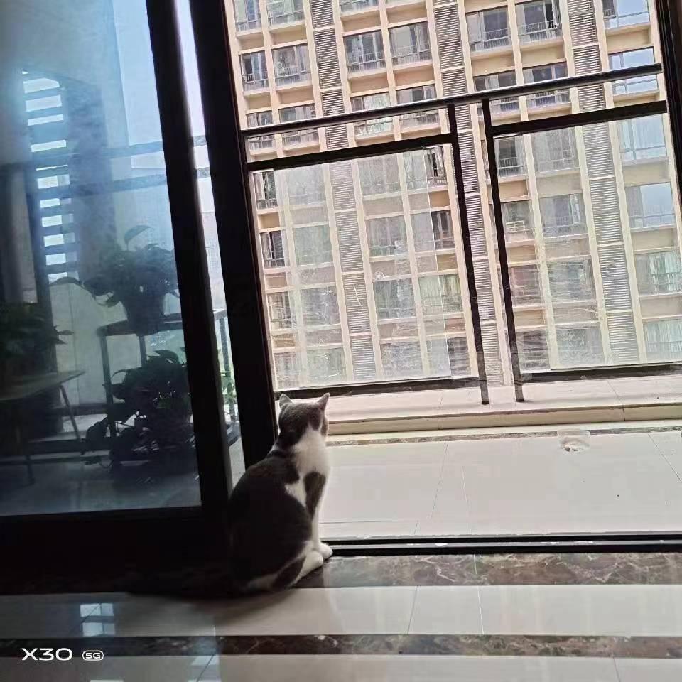 我的小朋友