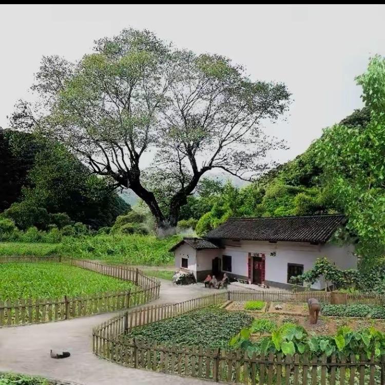 无缘情感电台