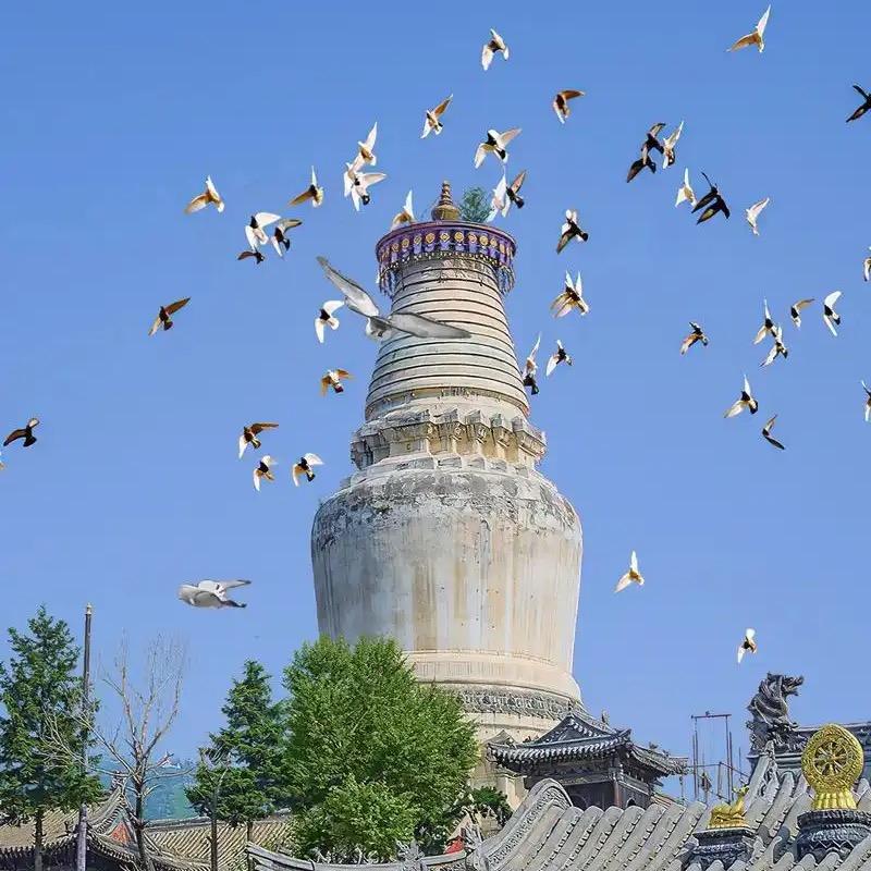 五台山智缘
