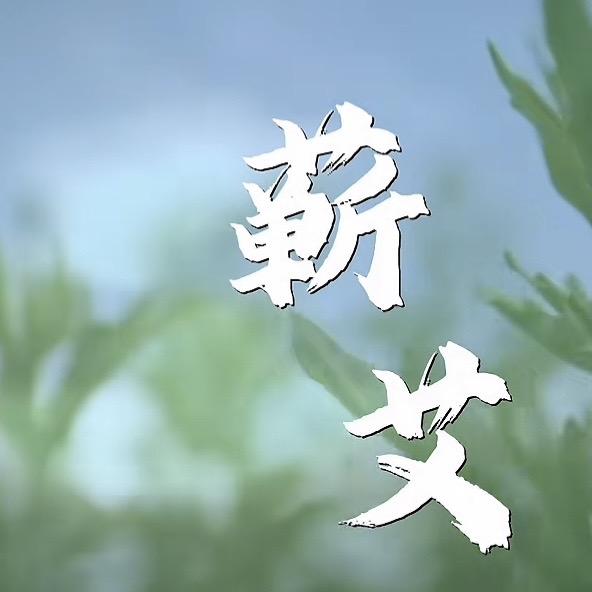 尚宫·艾都个人护理旗舰店正宗蕲艾