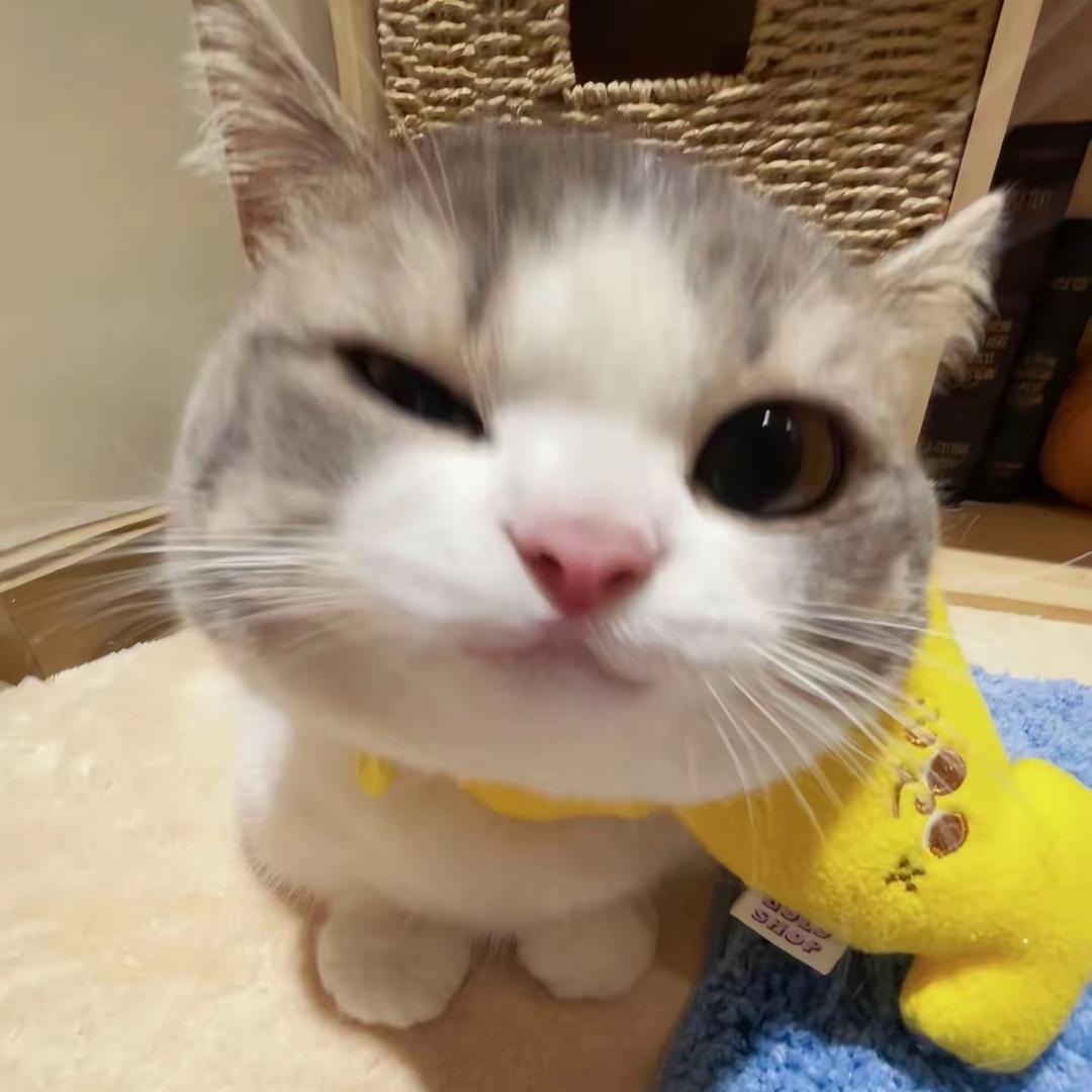 甜V
