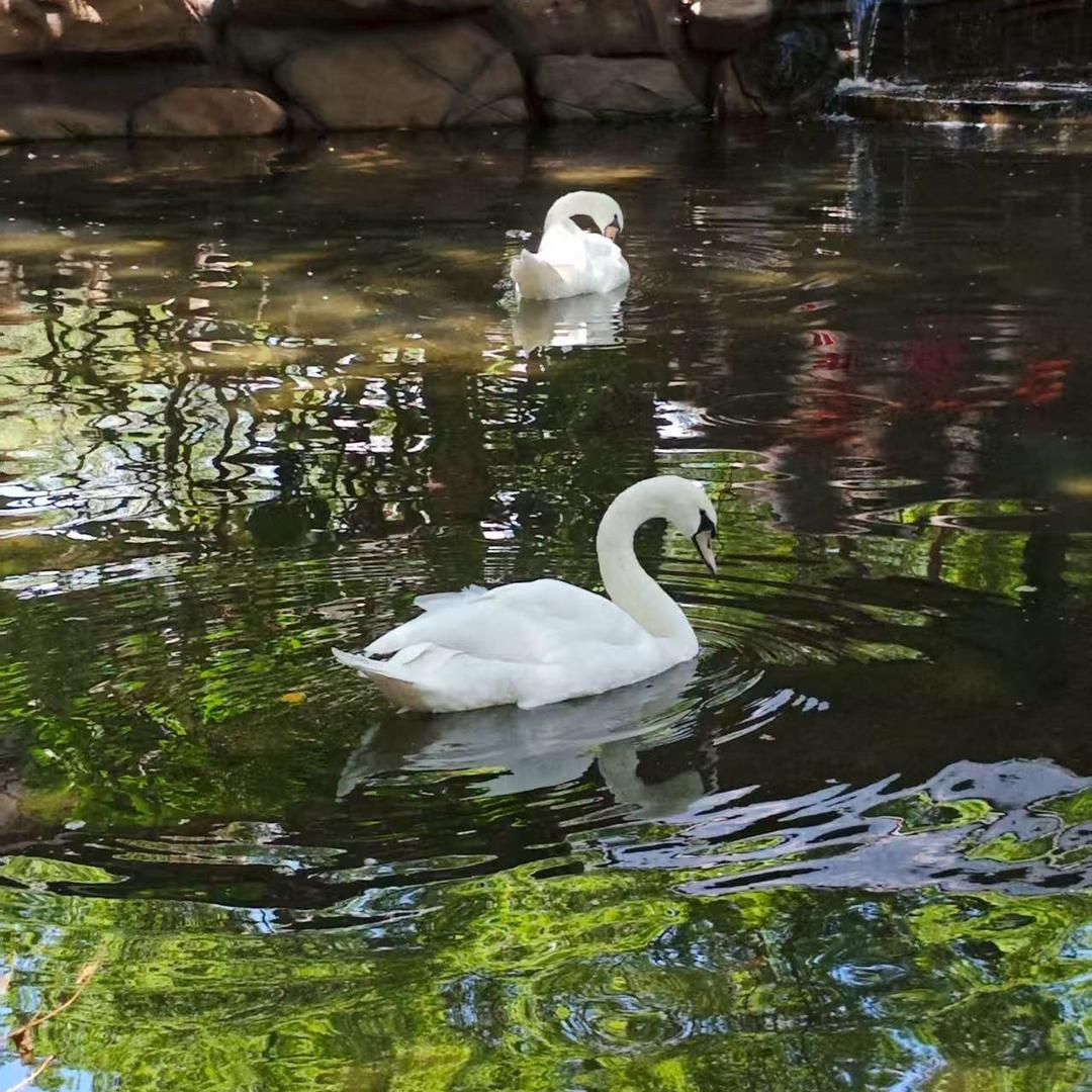 随缘🍃