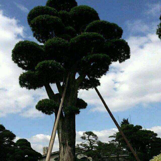 赣南农家杂货铺