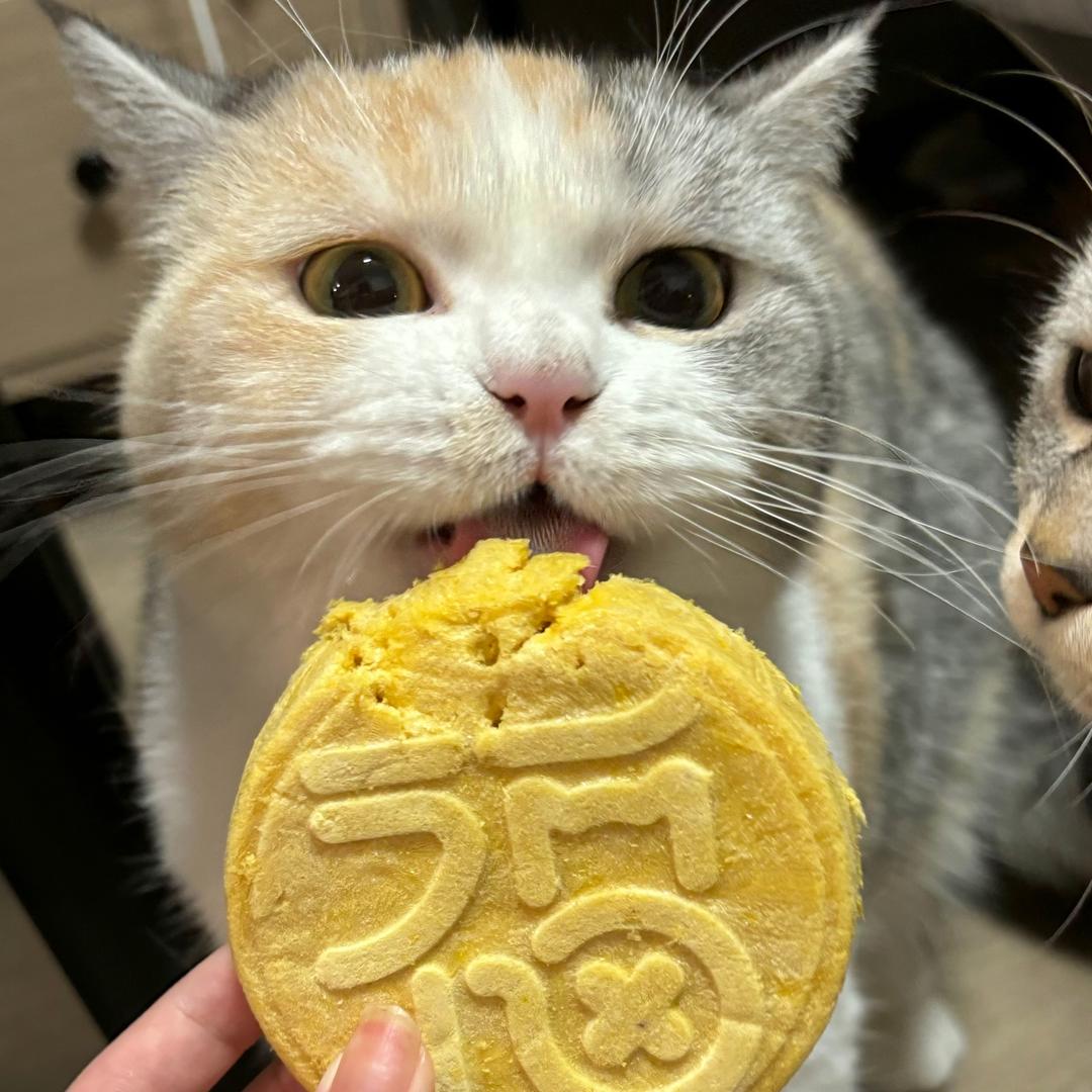 我不想熬夜