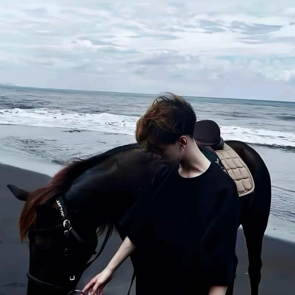 不让笨蛋流泪。