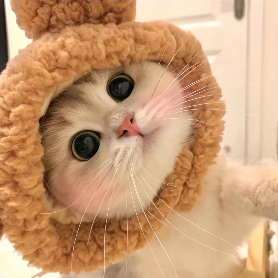 小玖