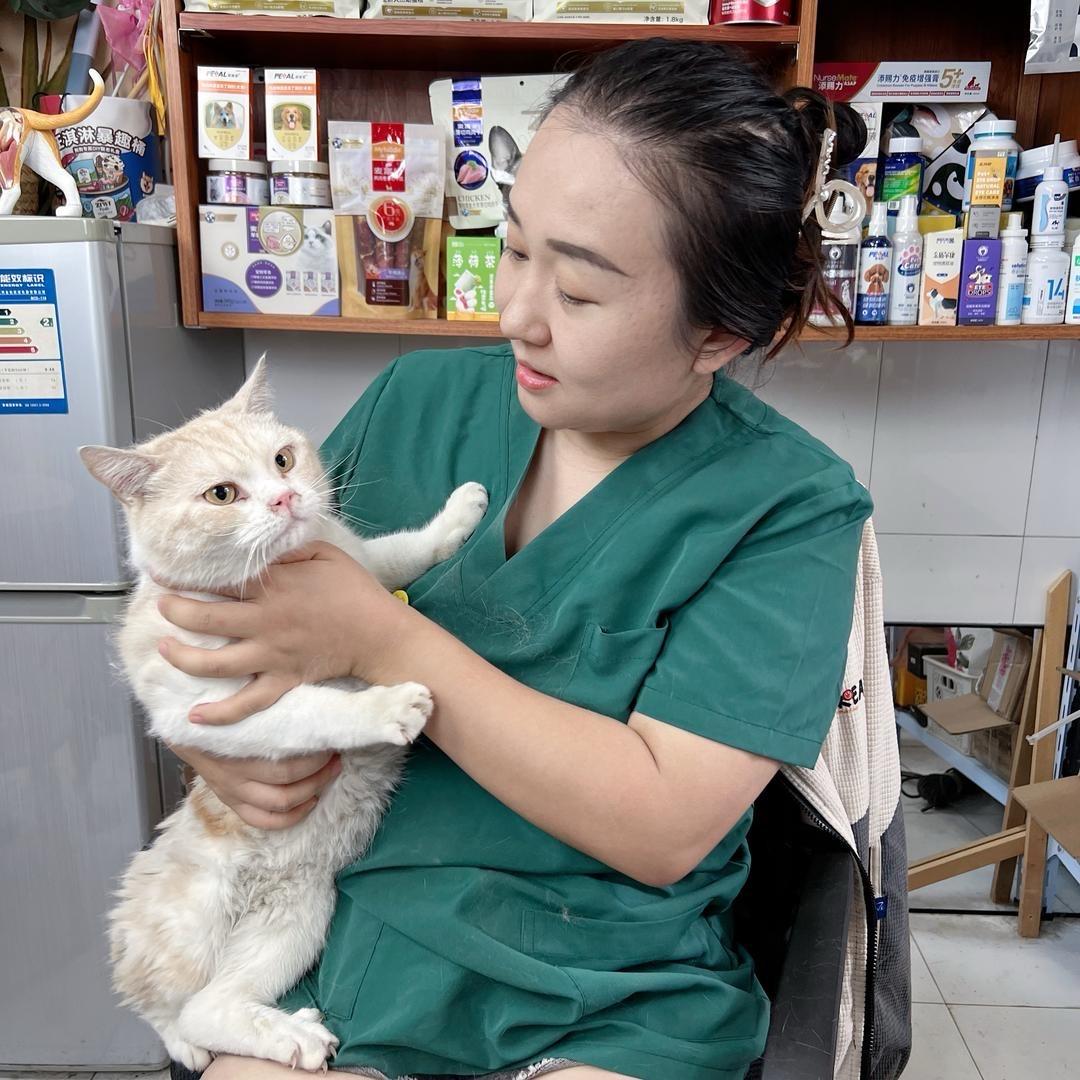 兽医系猫学长「萱子」