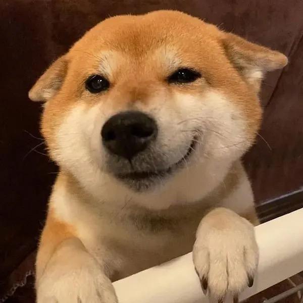 张小K