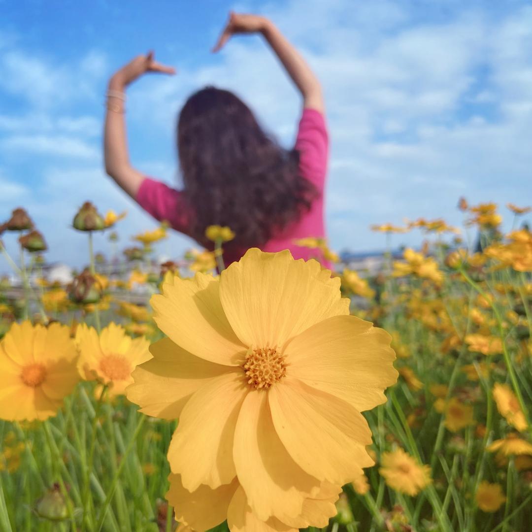 🌼梅梅🌼