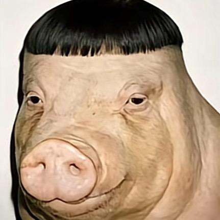 Y y .