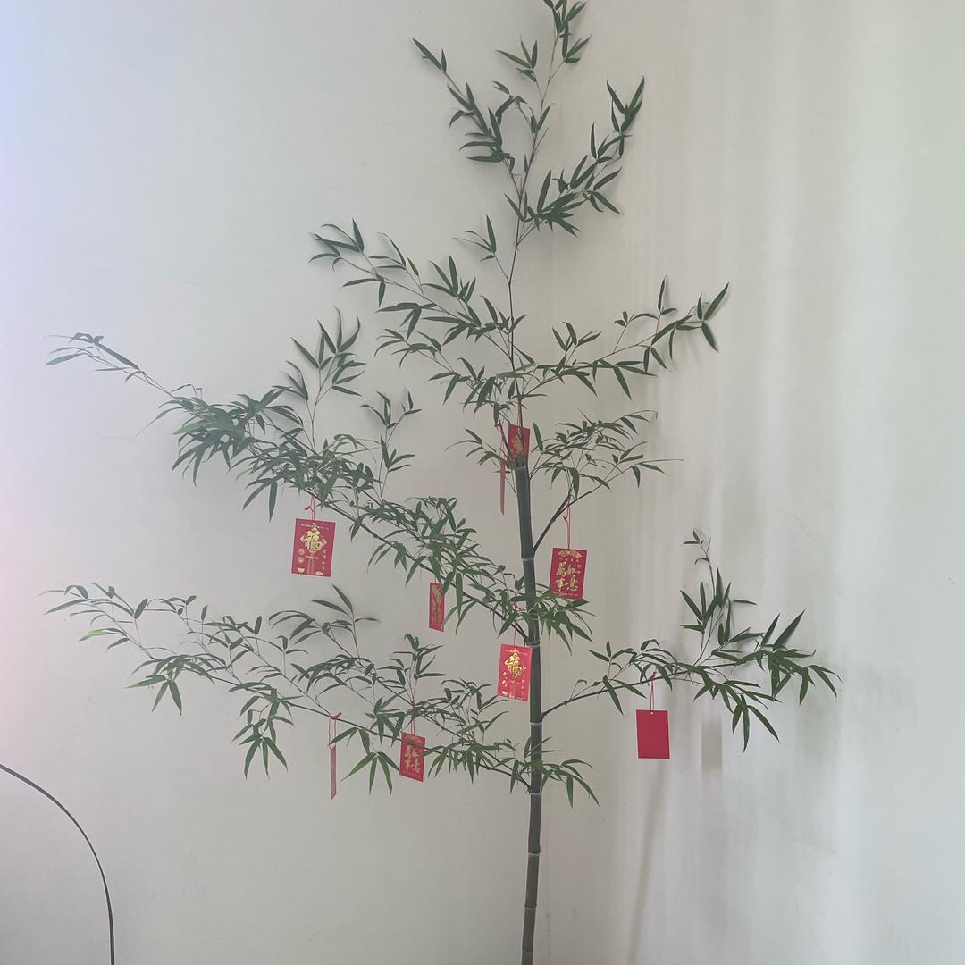 仁慧堂