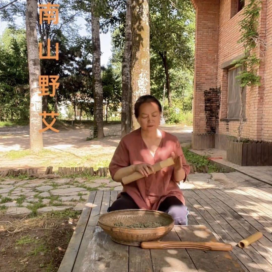 终南山野艾