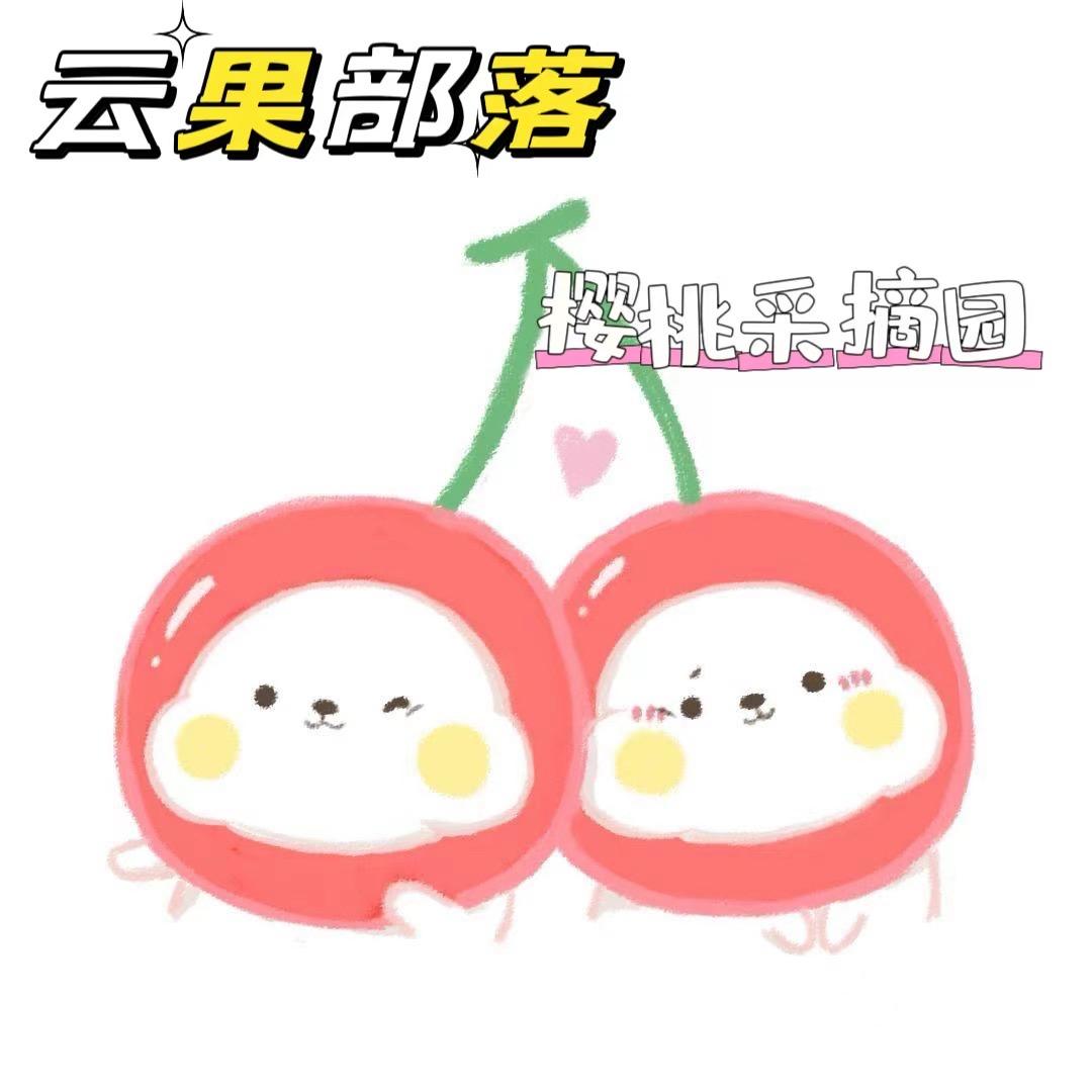 大连樱桃🍒《云果部落》