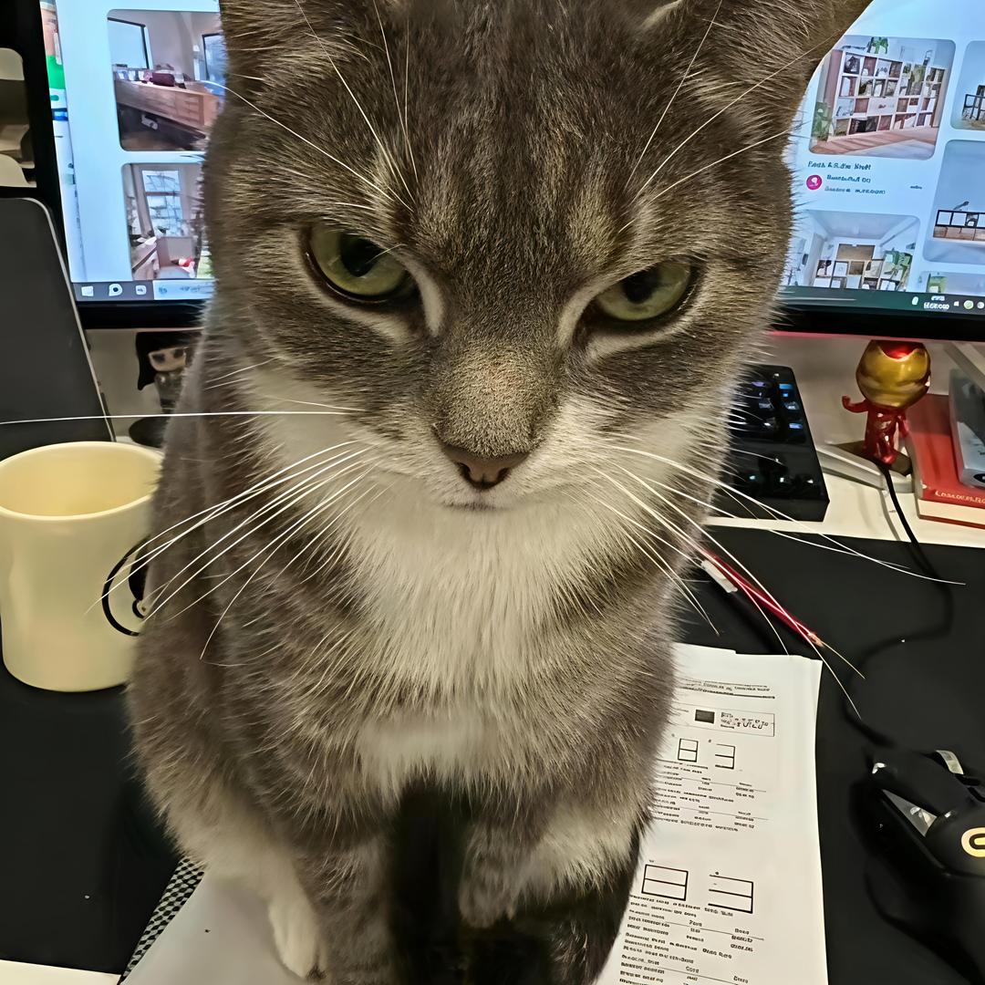 博智尧