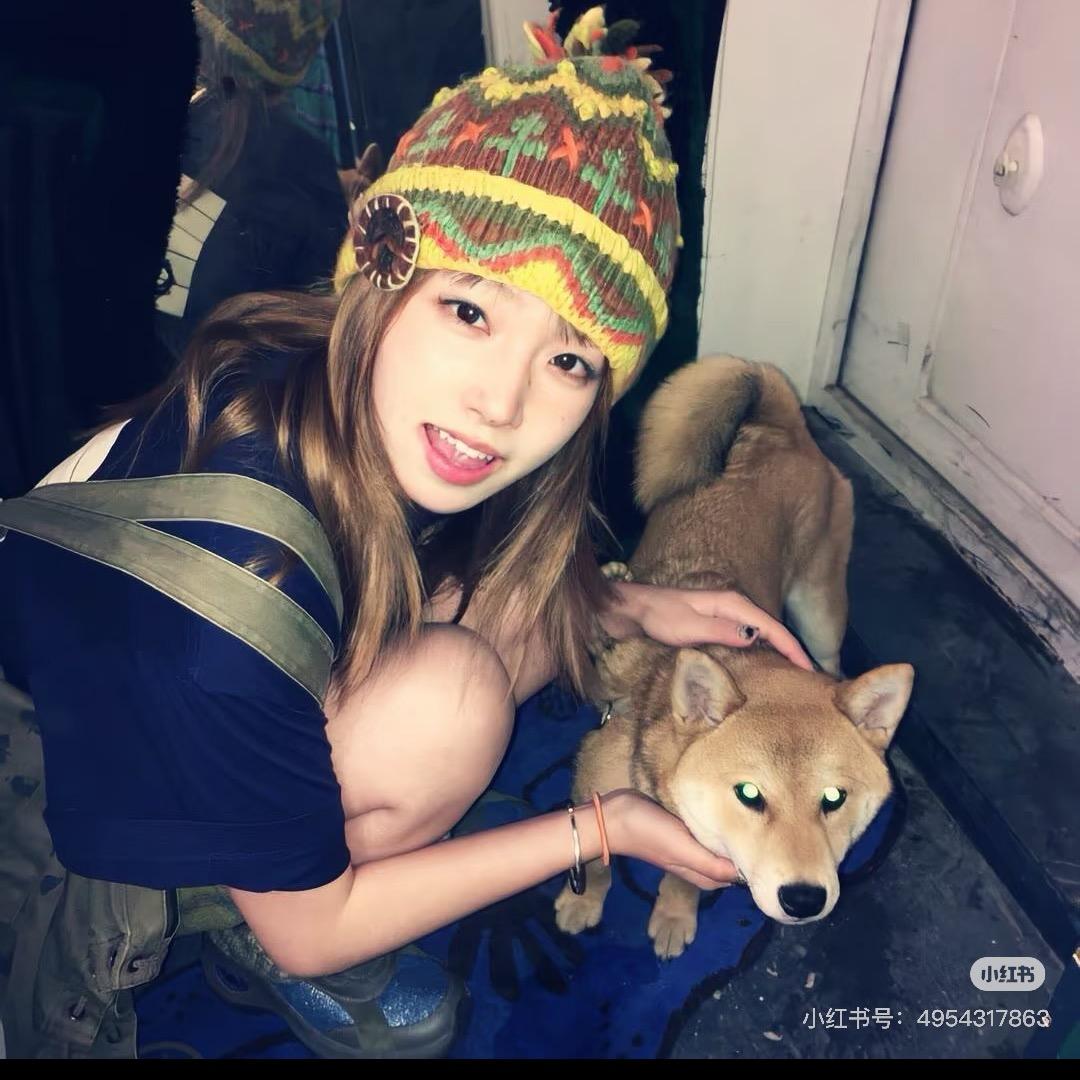 小呆🐟