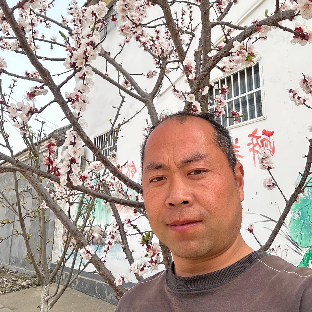 鹏哥旅行记