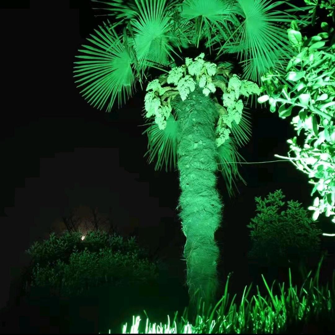 宁静致远2