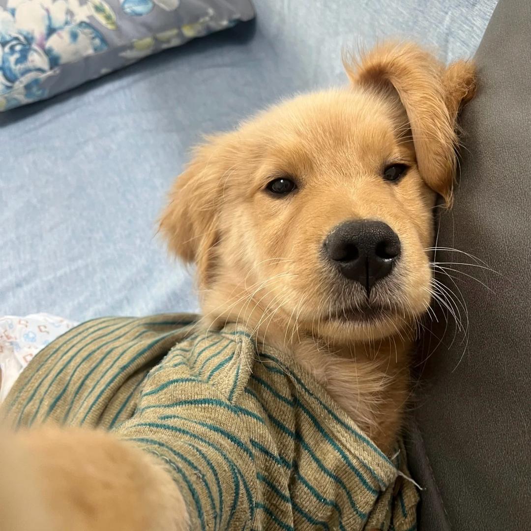 💤