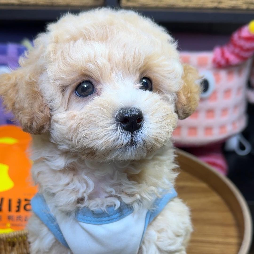 憨憨爱吃饭