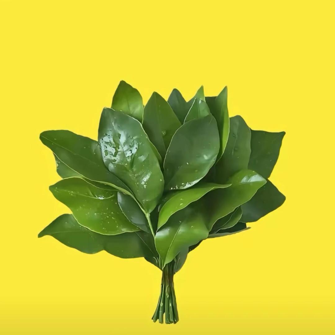 周周