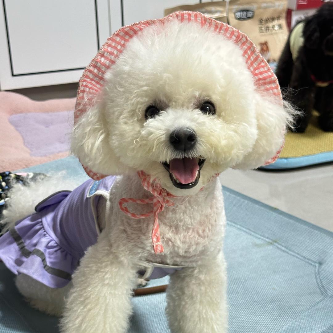 年年宝贝