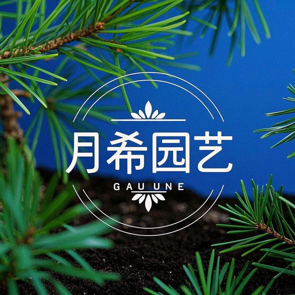 月希园艺^_^